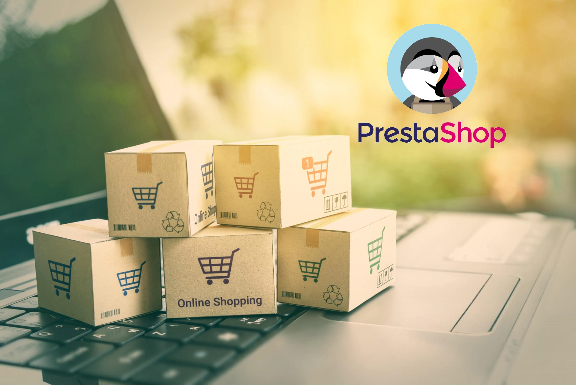 OnlineShop mit PrestaShop erstellen lassen