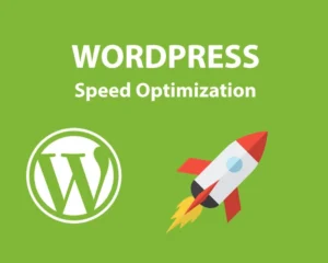 WordPress schneller machen